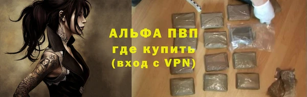 стафф Богородицк