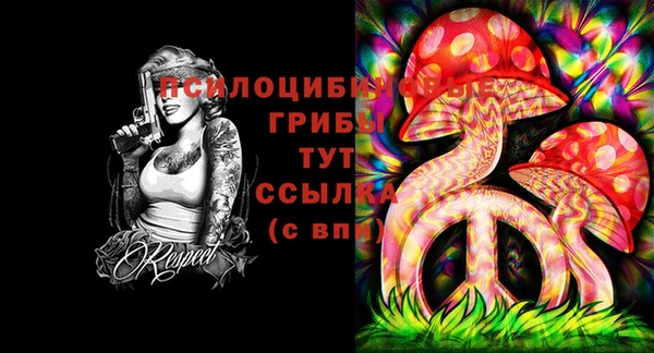 мяу мяу мука Богданович