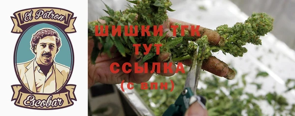 стафф Богородицк