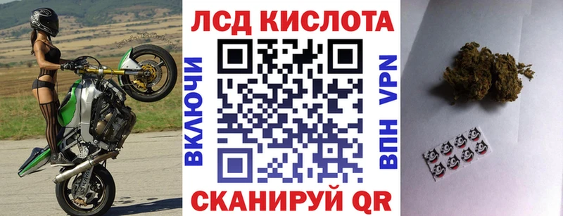 Купить закладки  Ржев  Наркотические марки 1,5мг 